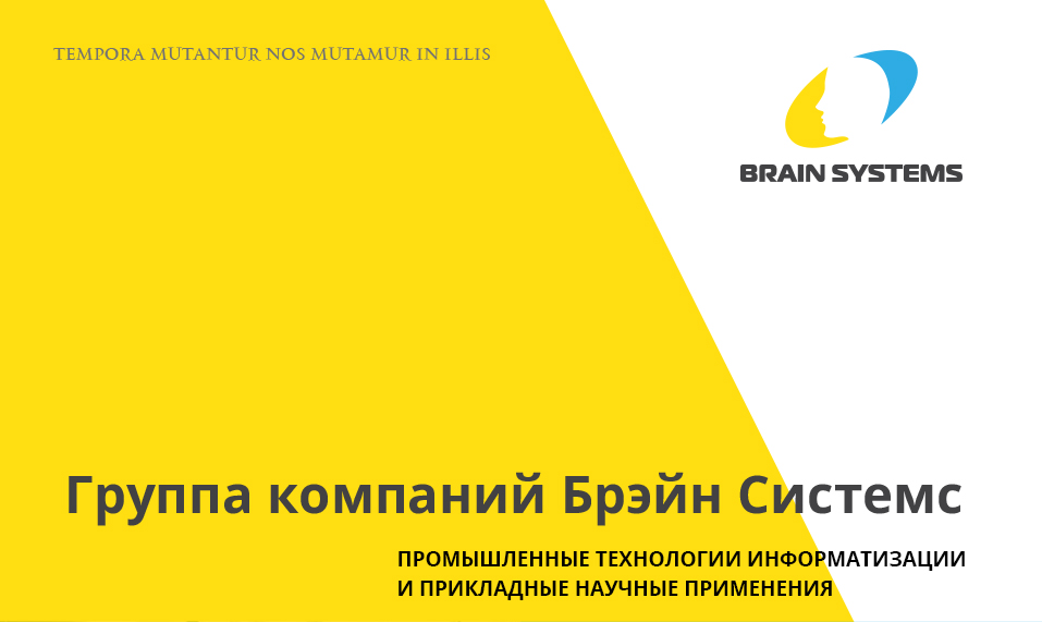 Группа компаний Brainsystems